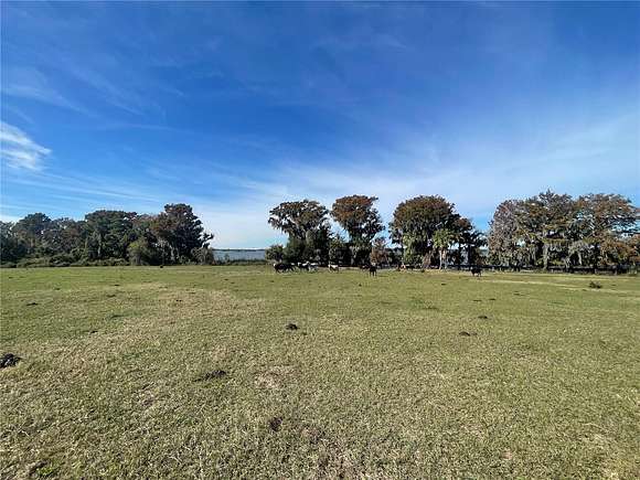 Land For Sale In Astatula Fl