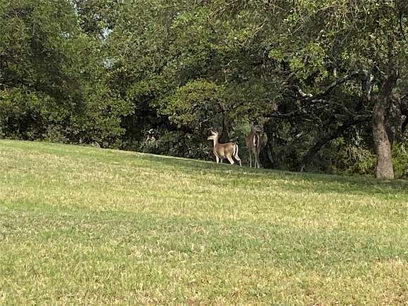 0.366 Acres of Residential Land for Sale in Whitney, Texas