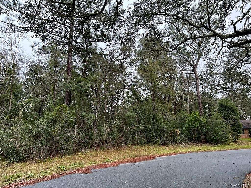 0.45 Acres of Residential Land for Sale in Citrus Springs, Florida