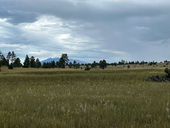 335 Acres of Recreational Land & Farm for Sale in Mormon Lake, Arizona