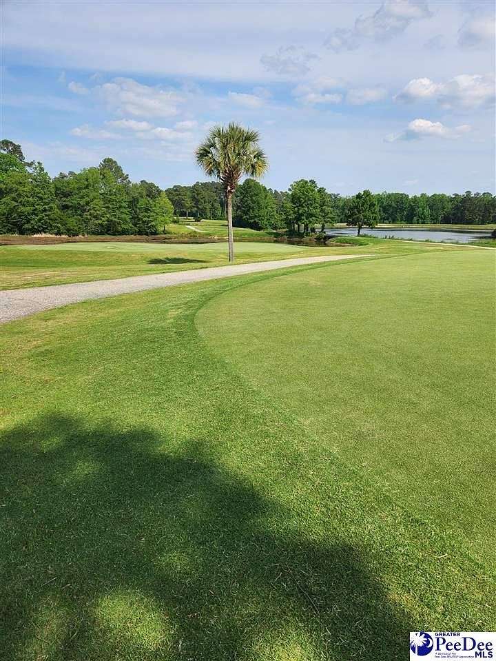 0.23 Acres of Residential Land for Sale in Johnsonville, South Carolina
