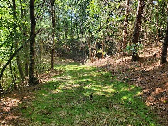 20.2 Acres of Land for Sale in Franklin Township, North Carolina