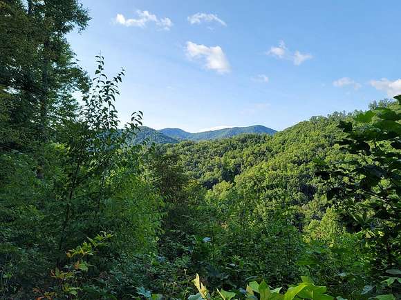 22.4 Acres of Recreational Land for Sale in Franklin, North Carolina
