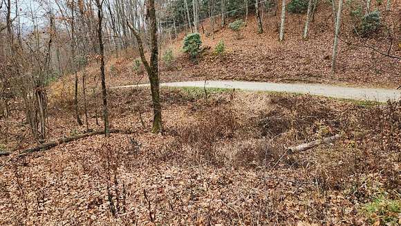 1.4 Acres of Residential Land for Sale in Ellijay Township, North Carolina