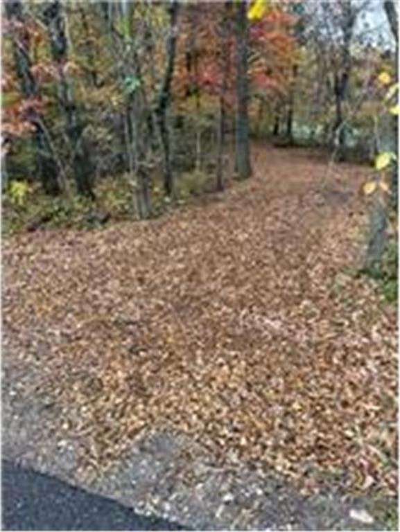 3 Acres of Residential Land for Sale in Princeton, Minnesota