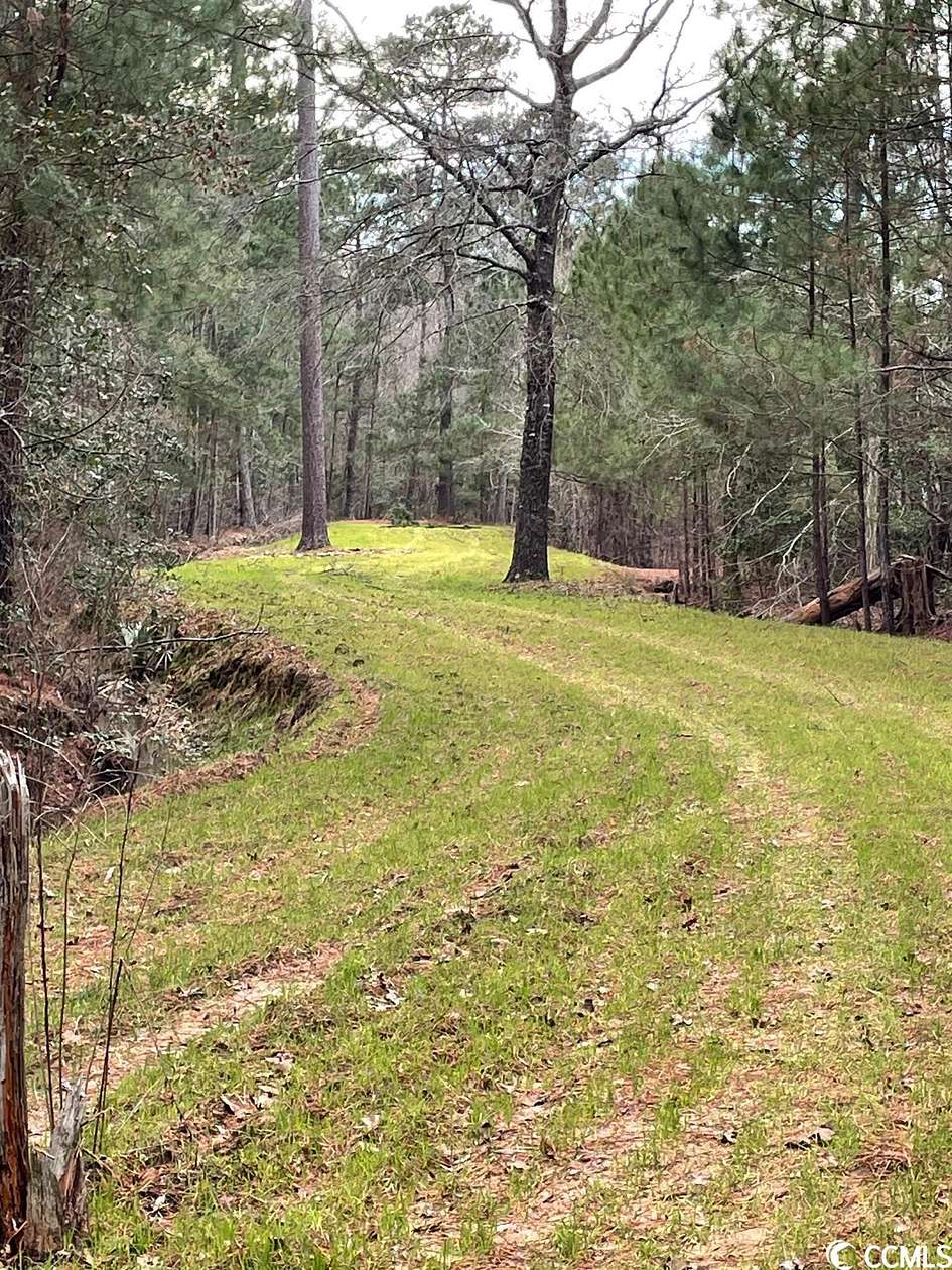 147.38 Acres of Recreational Land for Sale in Conway, South Carolina