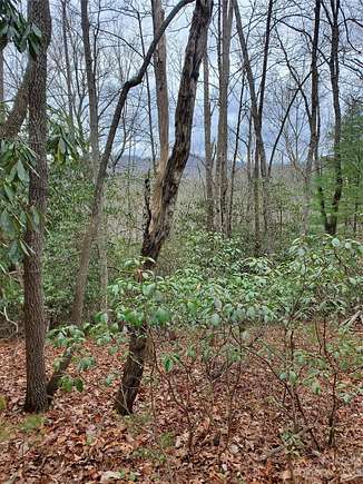 2.5 Acres of Residential Land for Sale in Hendersonville, North Carolina