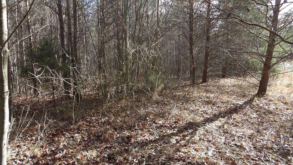 9.8 Acres of Residential Land for Sale in Spencer, Tennessee
