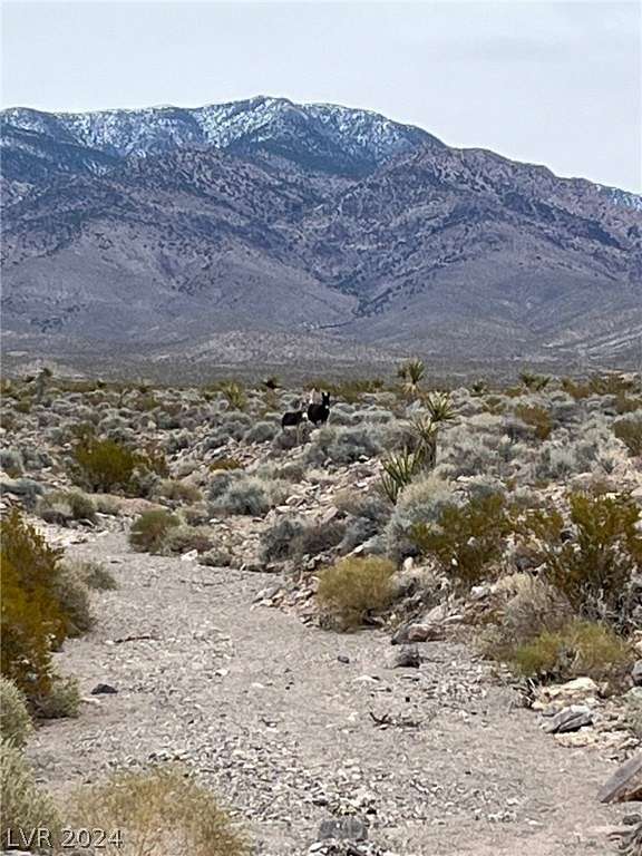 20 Acres of Land for Sale in Pahrump, Nevada