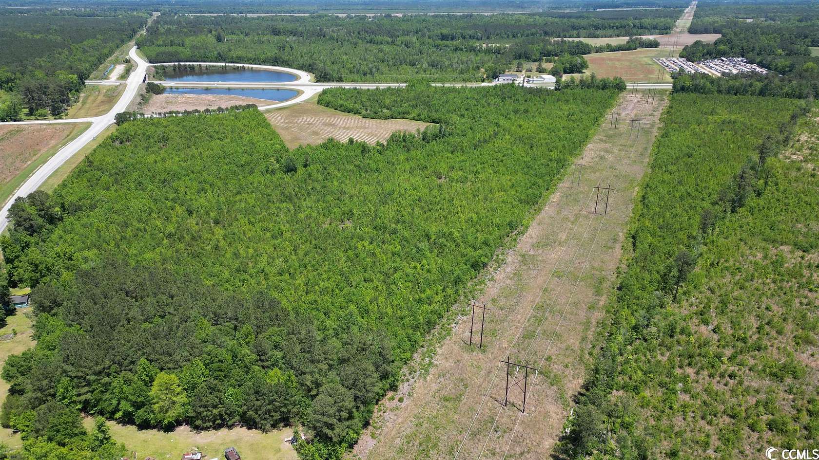 43.9 Acres of Land for Sale in Marion, South Carolina