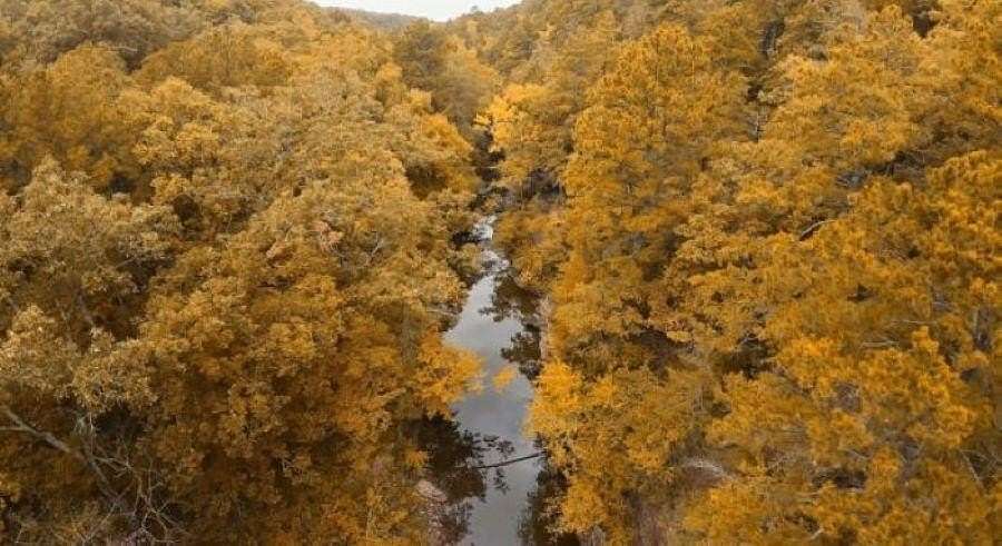 15.54 Acres of Recreational Land for Sale in Quitman, Arkansas