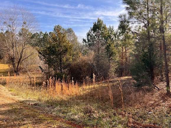 1.2 Acres of Residential Land for Sale in Cross Hill, South Carolina