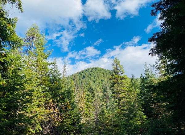 50 Acres of Recreational Land for Sale in Noxon, Montana