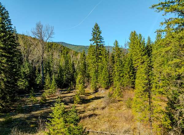 50 Acres of Recreational Land for Sale in Noxon, Montana