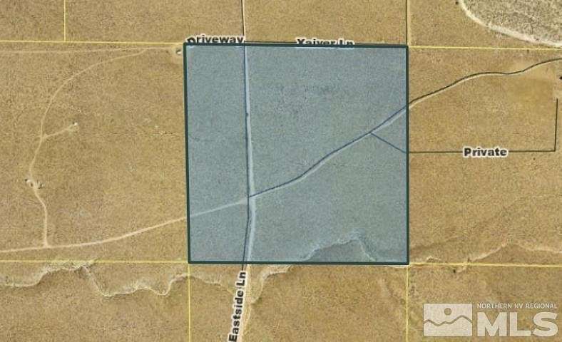 40 Acres of Land for Sale in Wellington, Nevada