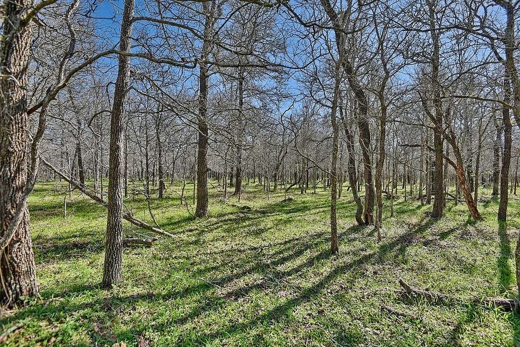 11 Acres of Agricultural Land for Sale in Smithville, Texas