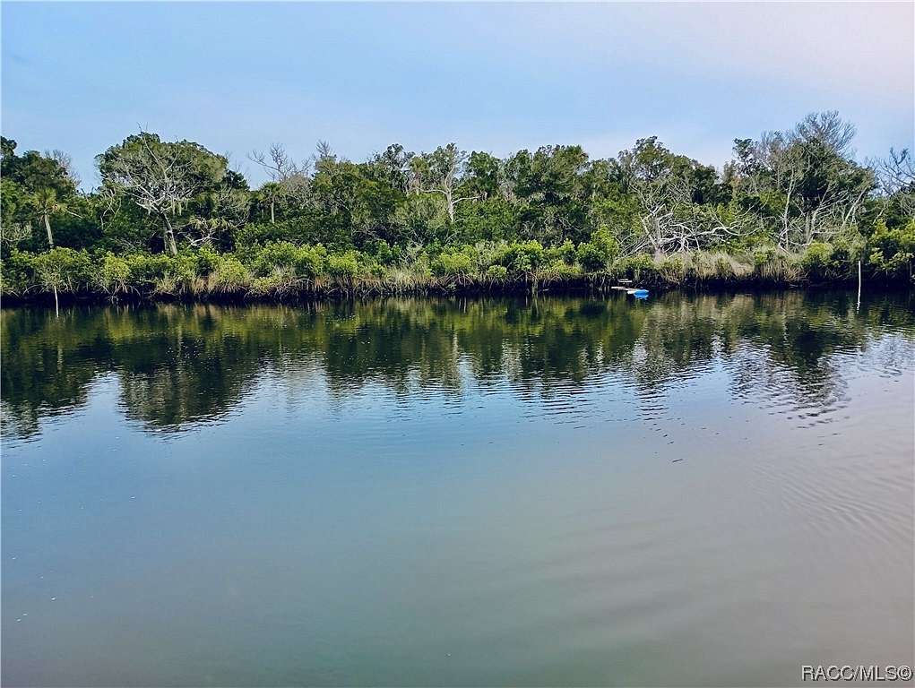 0.38 Acres of Land for Sale in Crystal River, Florida