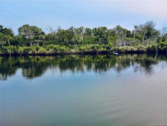 0.38 Acres of Land for Sale in Crystal River, Florida
