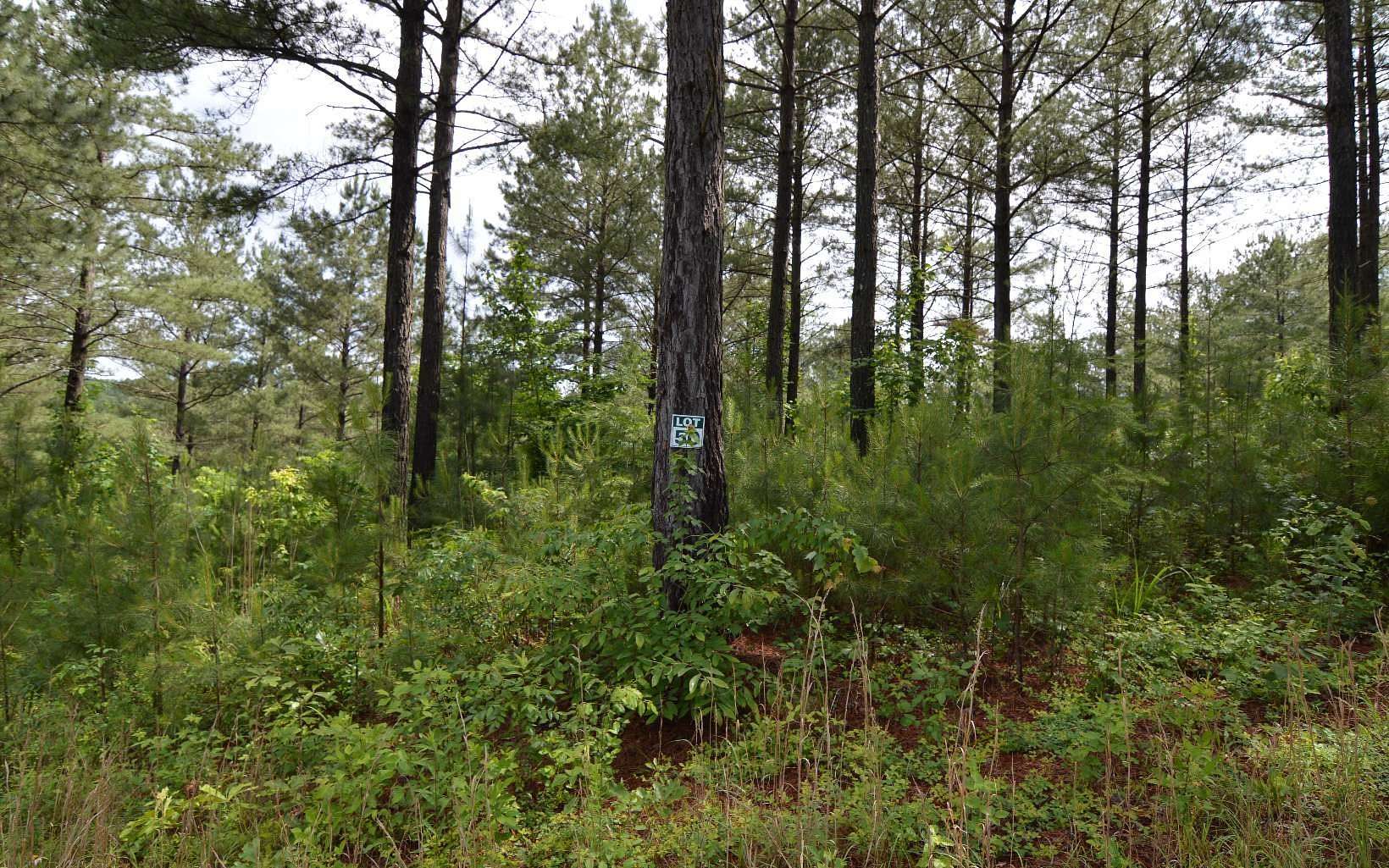 2.2 Acres of Land for Sale in Blairsville, Georgia