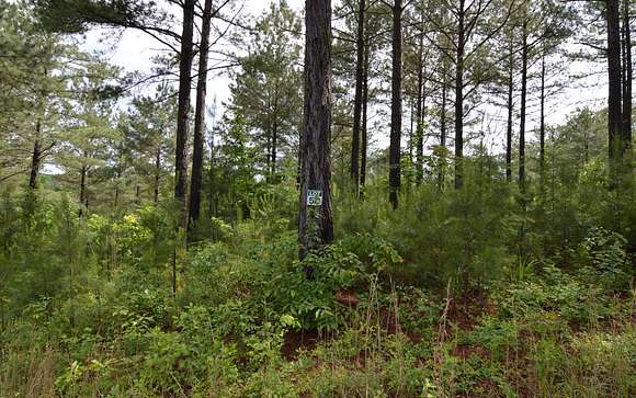 2.21 Acres of Land for Sale in Blairsville, Georgia