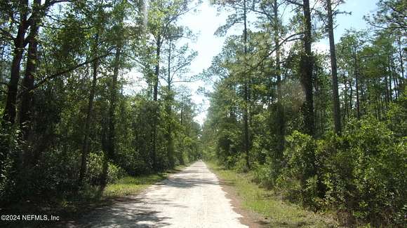 79.5 Acres of Land for Sale in Palatka, Florida
