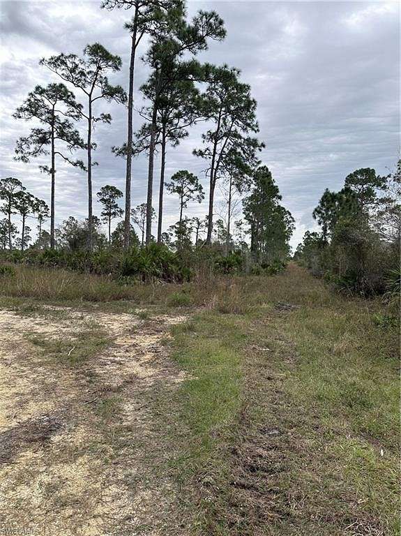 10 Acres of Land for Sale in Punta Gorda, Florida