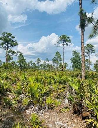 40 Acres of Land for Sale in Punta Gorda, Florida