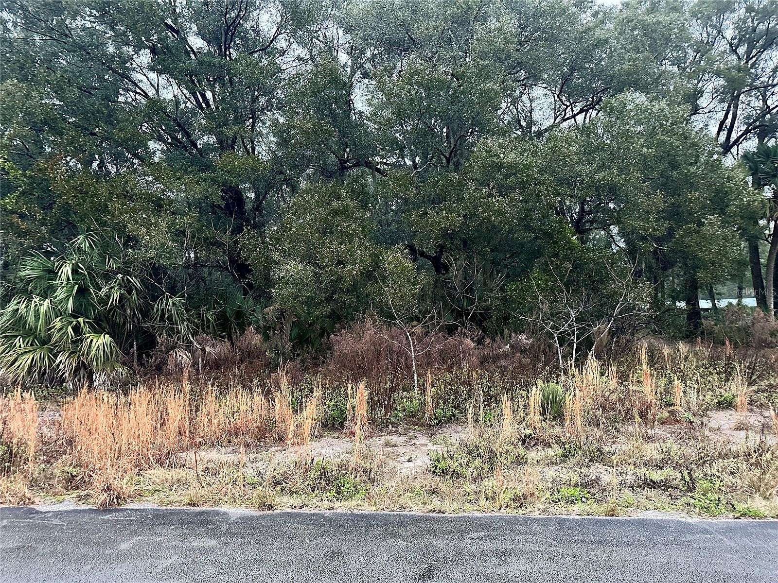 2.5 Acres of Residential Land for Sale in DeLand, Florida