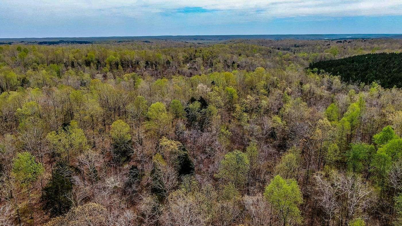 267.82 Acres of Agricultural Land for Sale in Parsons, Tennessee