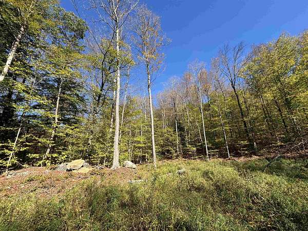 27.8 Acres of Recreational & Residential Land for Sale in Chester, Vermont