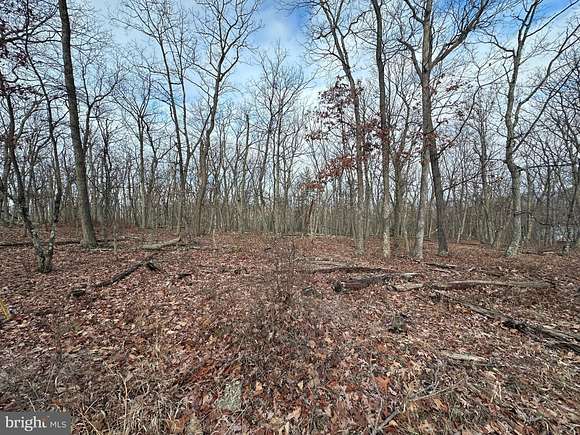 2.6 Acres of Residential Land for Sale in Augusta, West Virginia