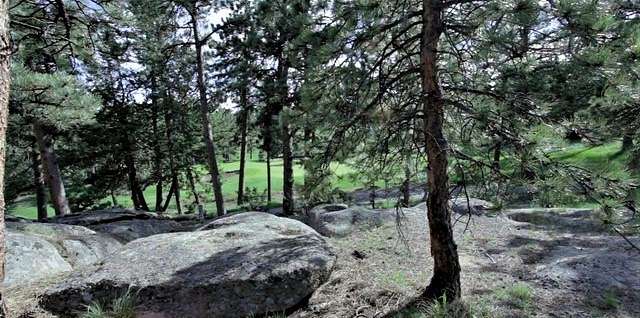 0.26 Acres of Land for Sale in Red Feather Lakes, Colorado
