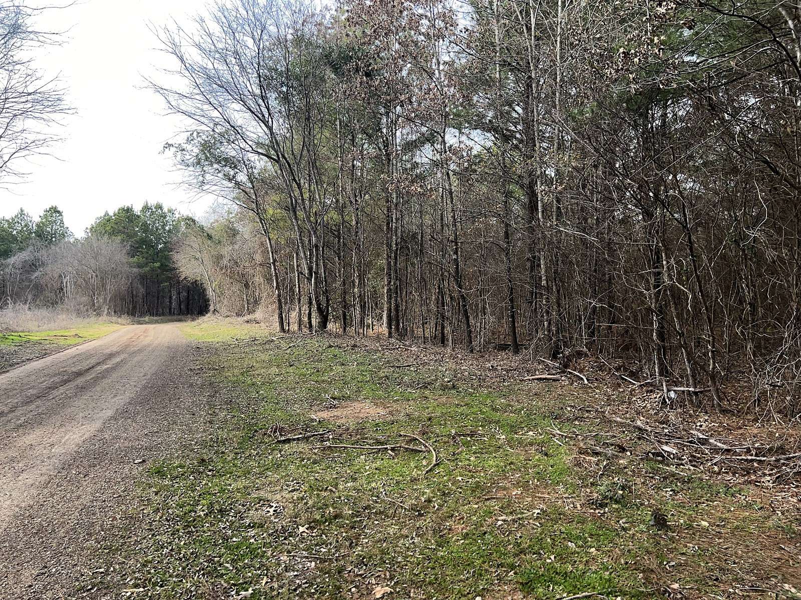 6.3 Acres of Land for Sale in Troup, Texas