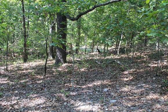 1.3 Acres of Residential Land for Sale in Protem, Missouri