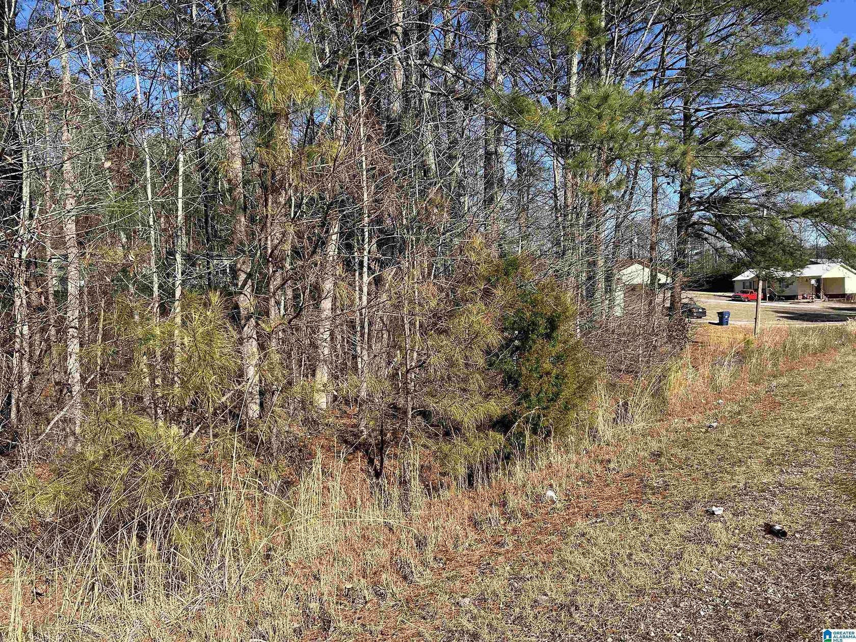 3.1 Acres of Residential Land for Sale in Jacksonville, Alabama