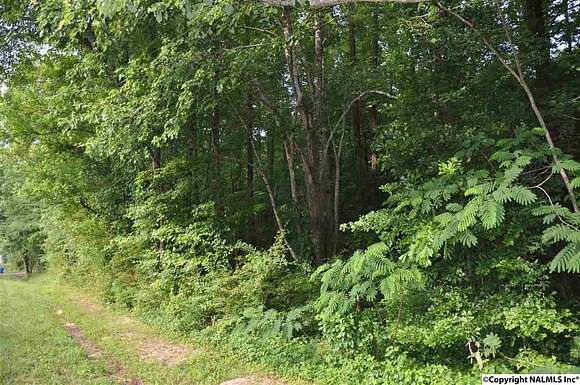 19 Acres of Land for Sale in Arab, Alabama