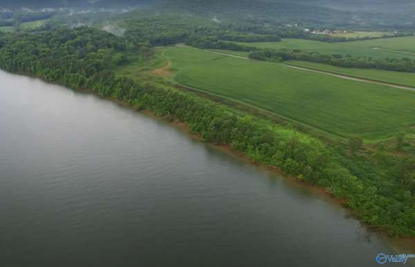 38 Acres of Land for Sale in Laceys Spring, Alabama