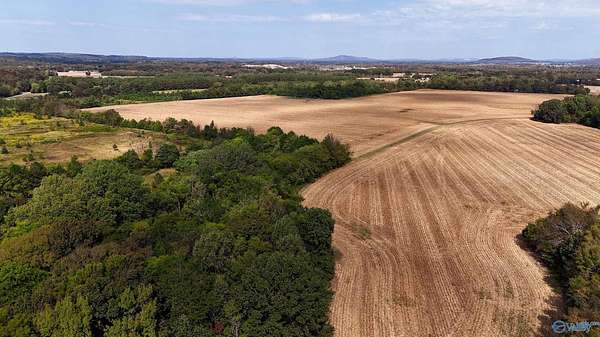 7.7 Acres of Residential Land for Sale in Laceys Spring, Alabama