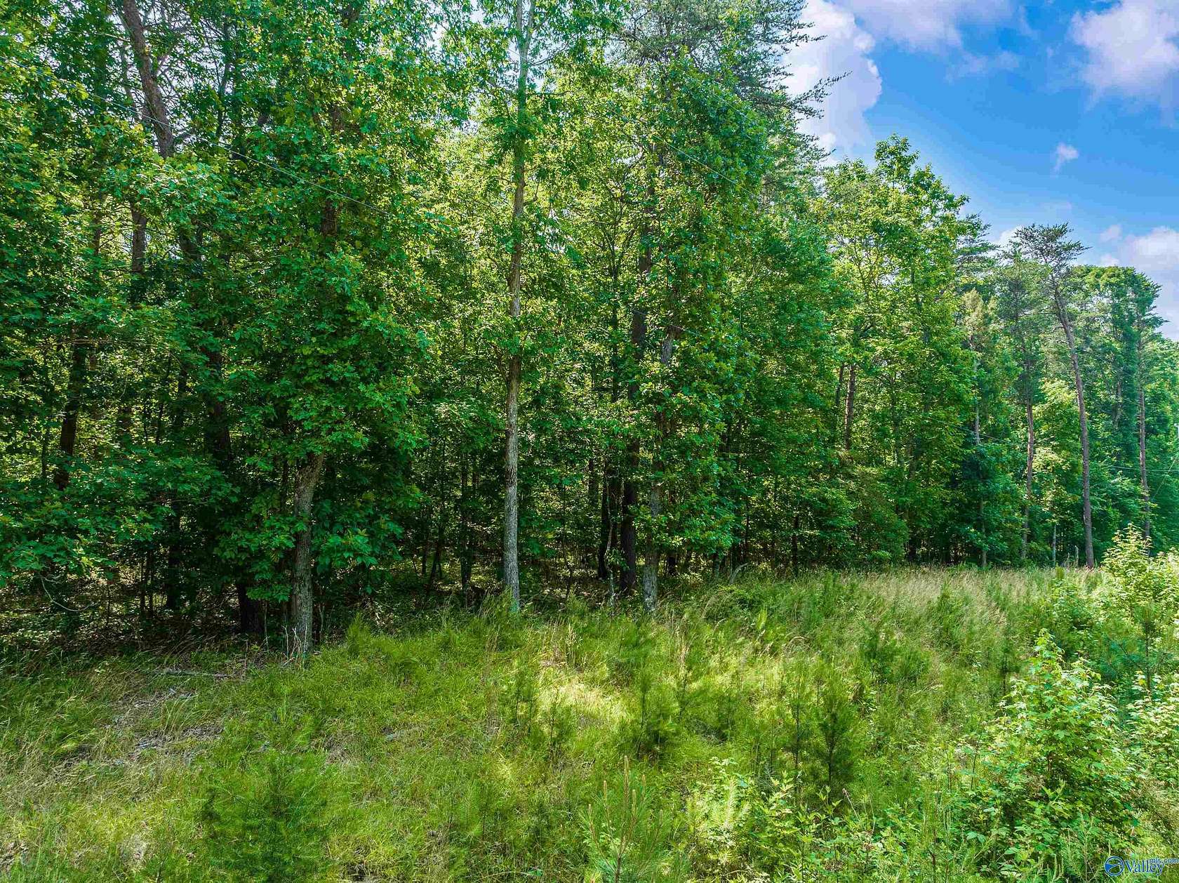 1.2 Acres of Land for Sale in Mentone, Alabama