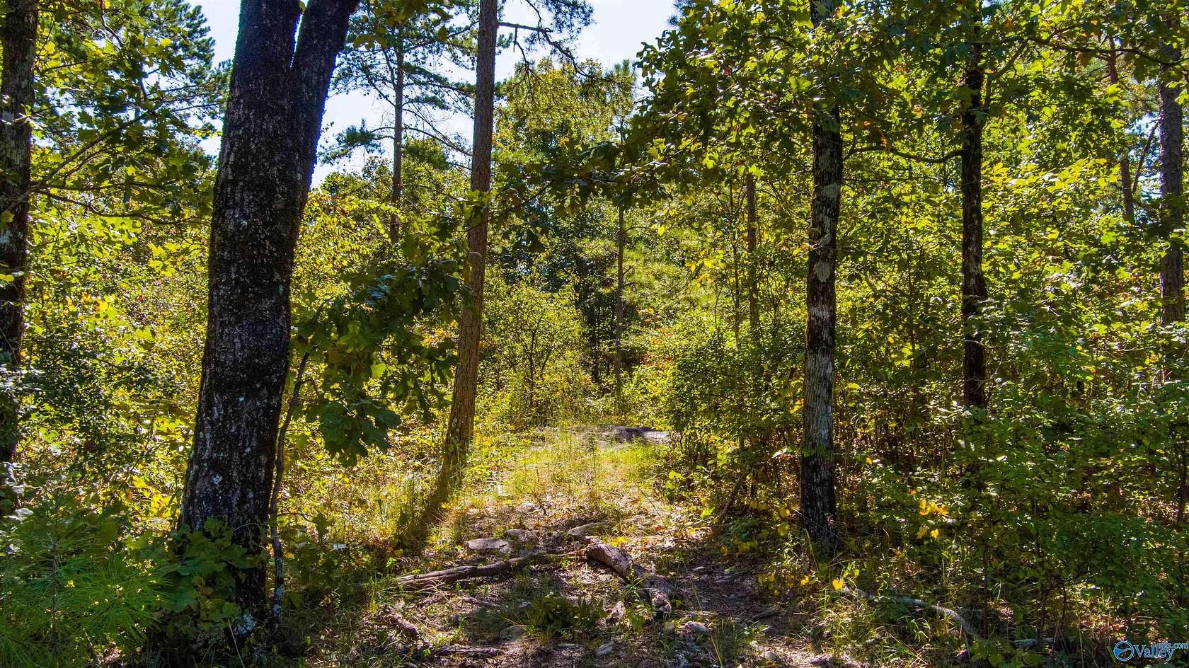 4.93 Acres of Land for Sale in Leesburg, Alabama