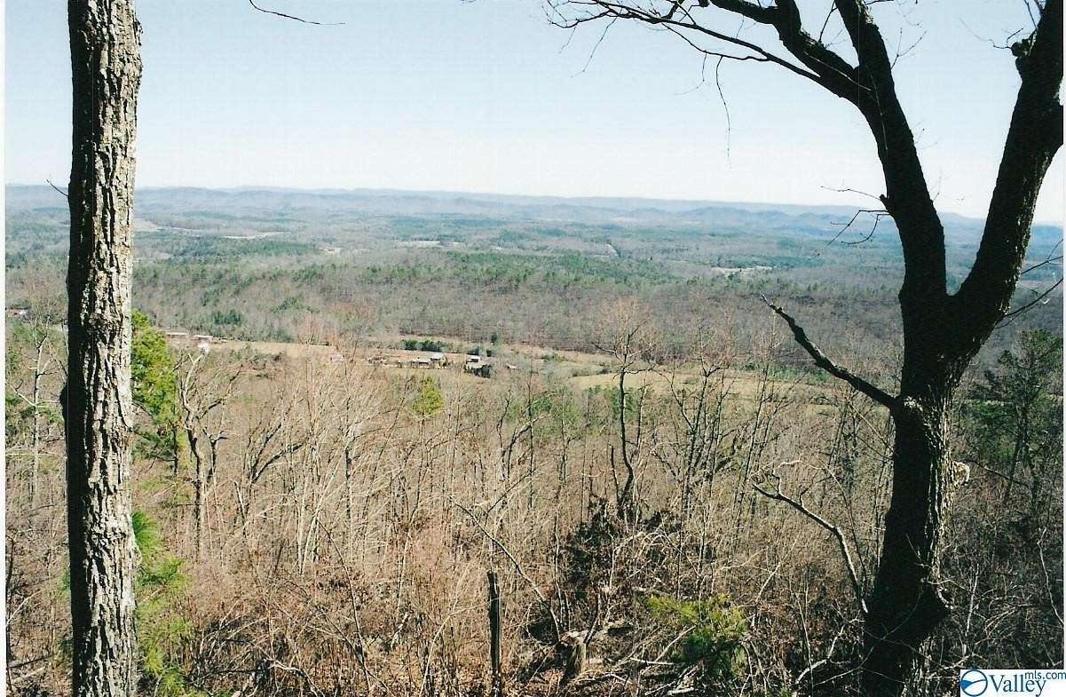 1 Acre of Land for Sale in Mentone, Alabama