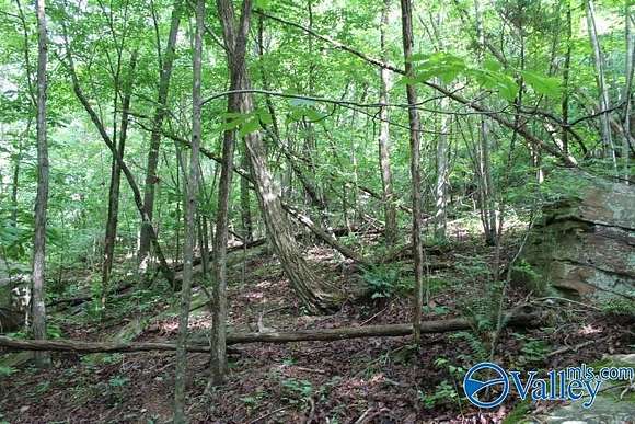 3 Acres of Land for Sale in Mentone, Alabama