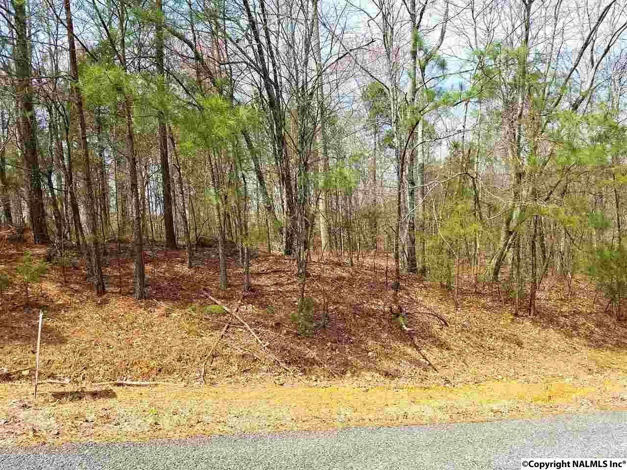 0.96 Acres of Residential Land for Sale in Scottsboro, Alabama
