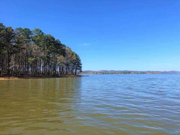 1.6 Acres of Land for Sale in Cedar Bluff, Alabama