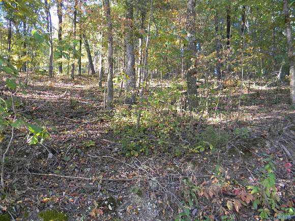 0.8 Acres of Residential Land for Sale in Leesburg, Alabama