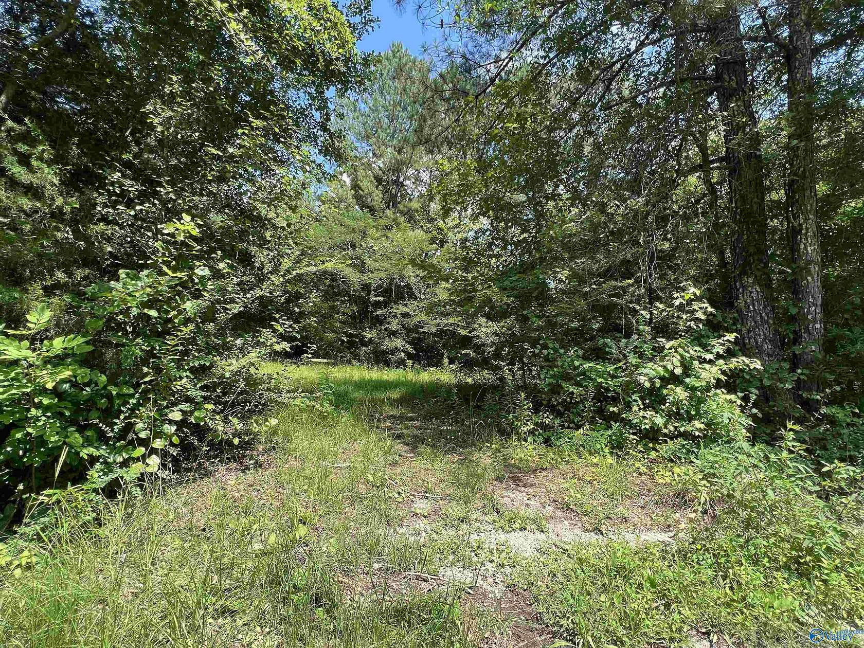 1.4 Acres of Residential Land for Sale in Pell City, Alabama
