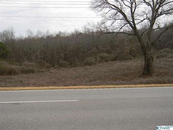 4 Acres of Commercial Land for Sale in Leesburg, Alabama