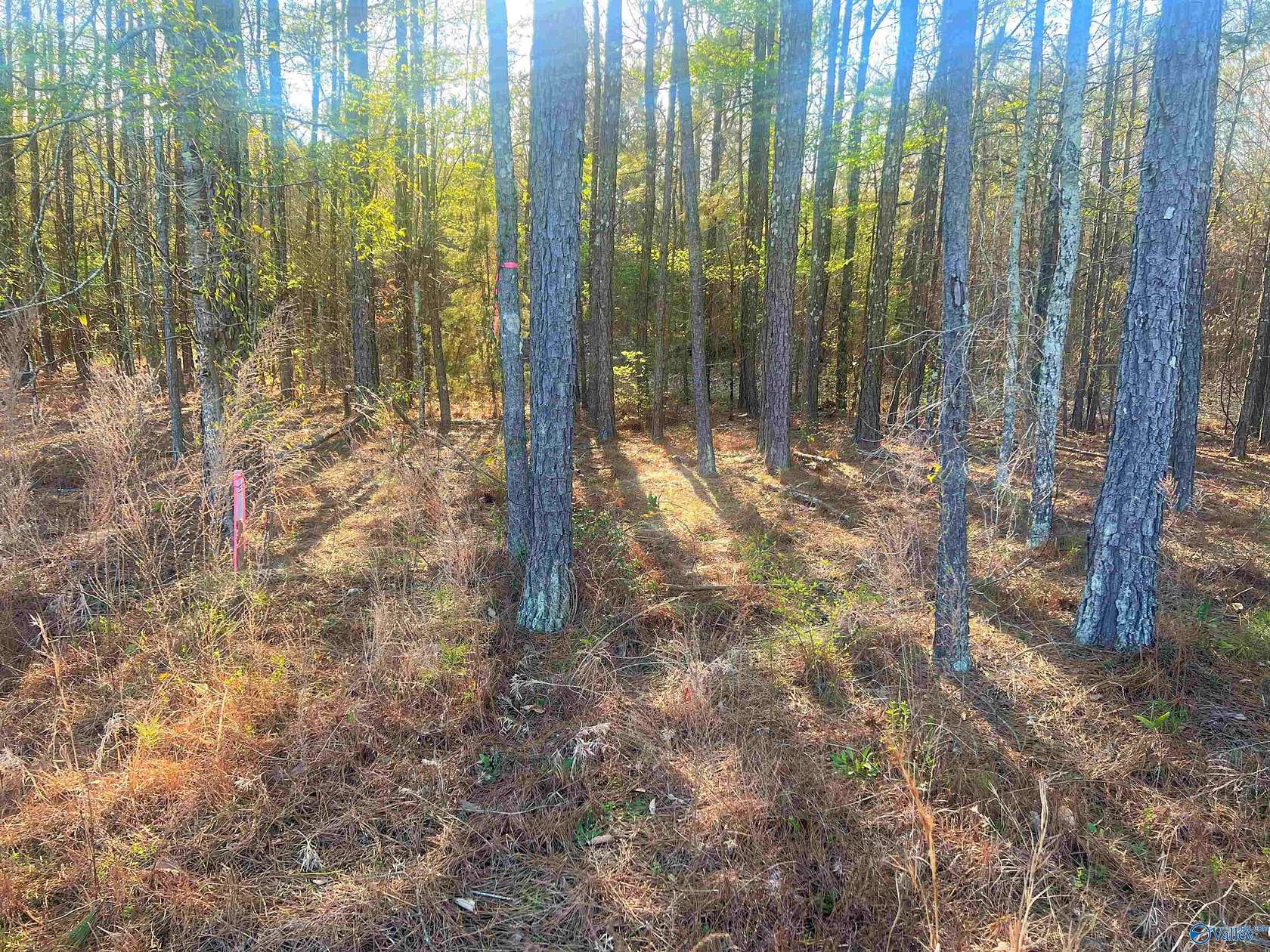 0.58 Acres of Land for Sale in Cedar Bluff, Alabama