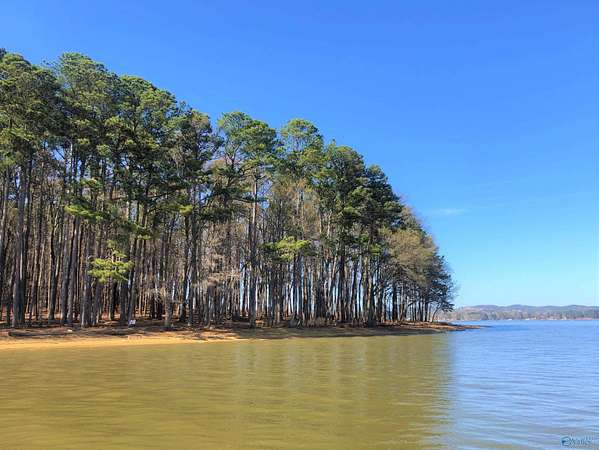 1.72 Acres of Residential Land for Sale in Cedar Bluff, Alabama
