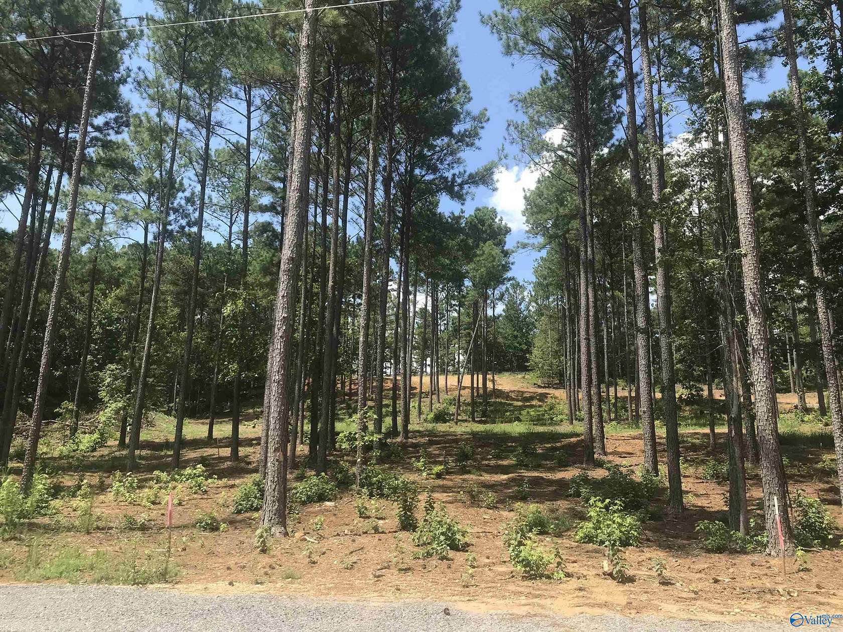 0.08 Acres of Land for Sale in Cedar Bluff, Alabama